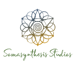Somasynthesis Studios Inc
